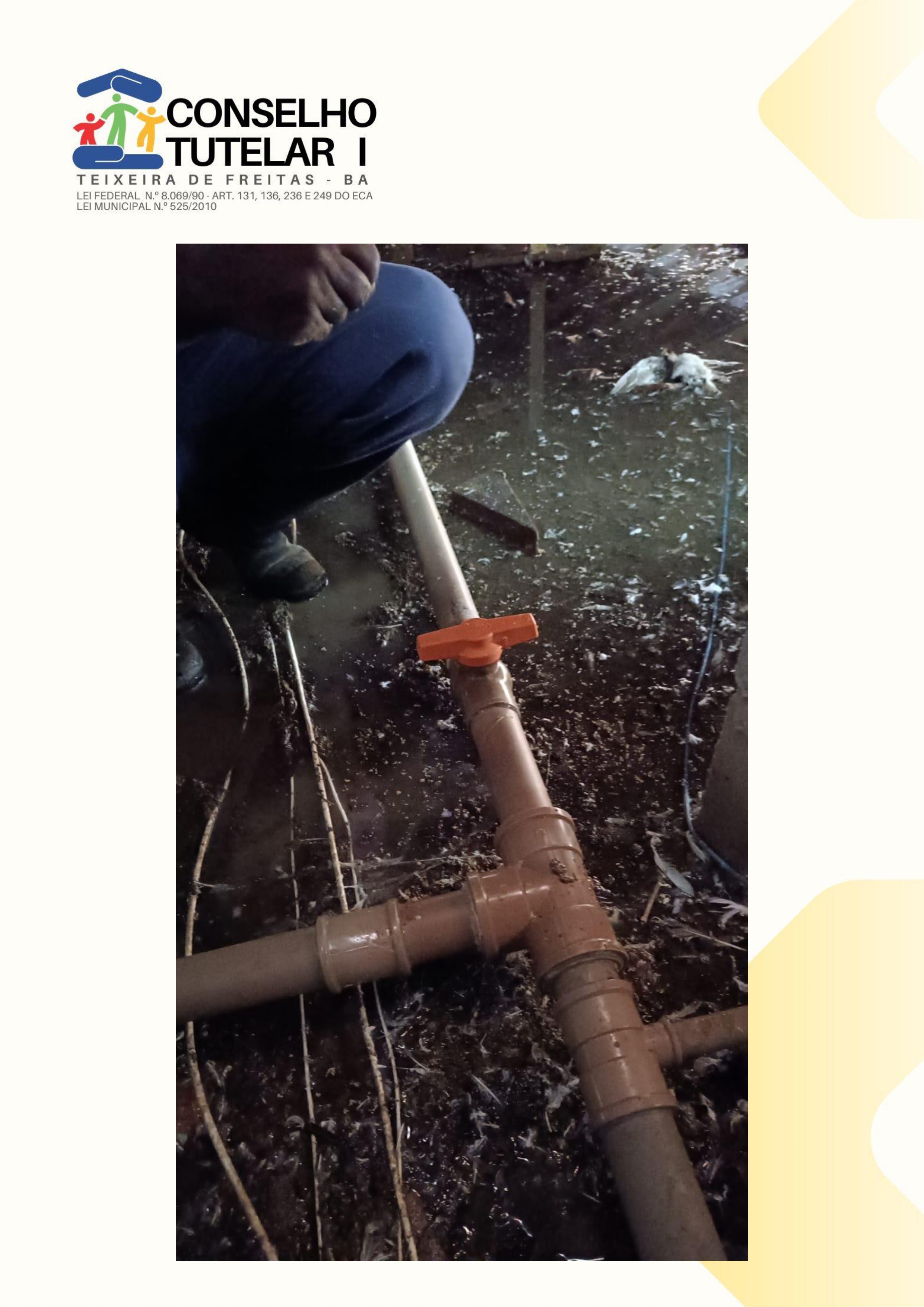 Tubulação comprometida com pombo morto visível